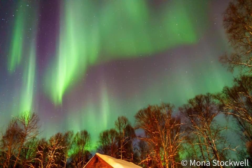 Susitna River Lodging, Suites Talkeetna Bagian luar foto