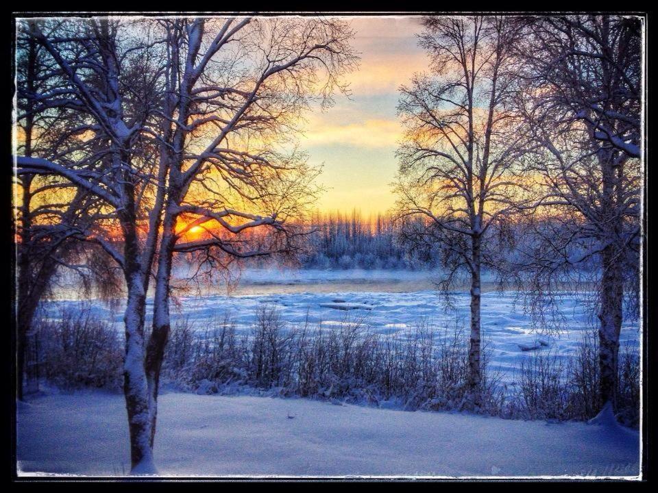 Susitna River Lodging, Suites Talkeetna Bagian luar foto